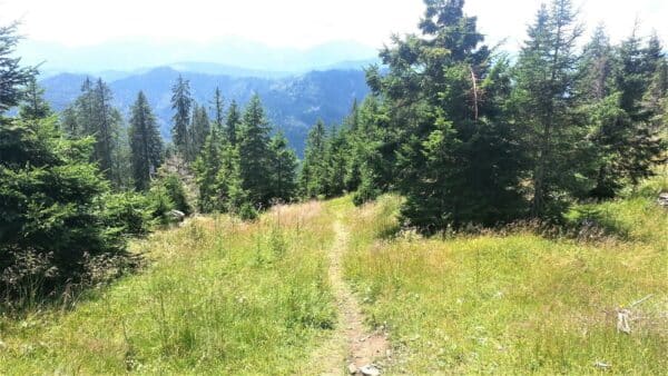 Bärenbikes Ausfahrt Weissensee