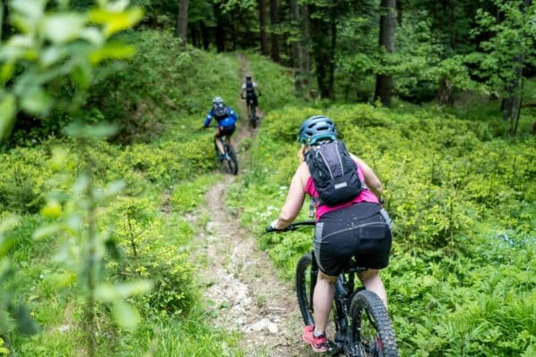 Bärenbikes Ausfahrt Gailtaler Alpen